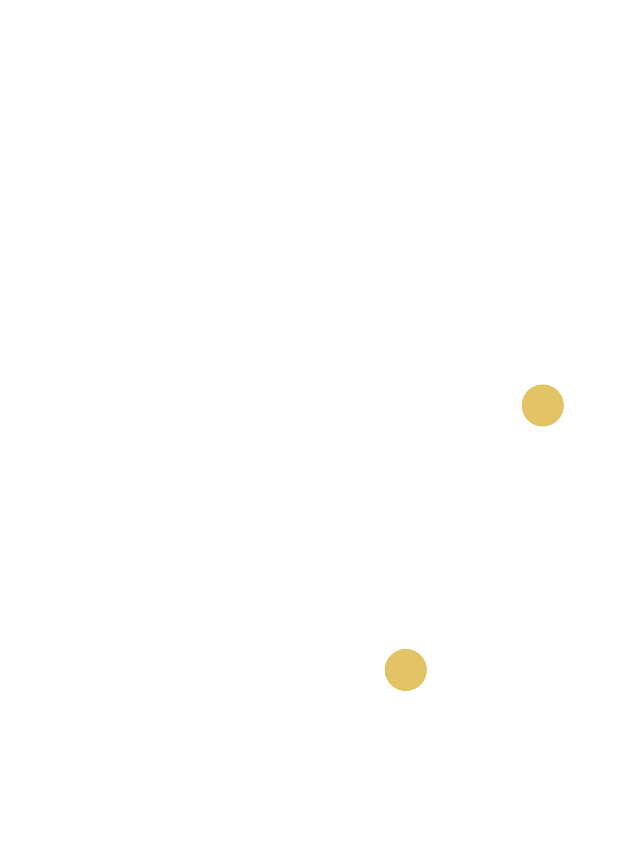 Deutschlandkarte mit Standorten von Rygol